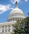 Globalink Homeland Security Wireless Services